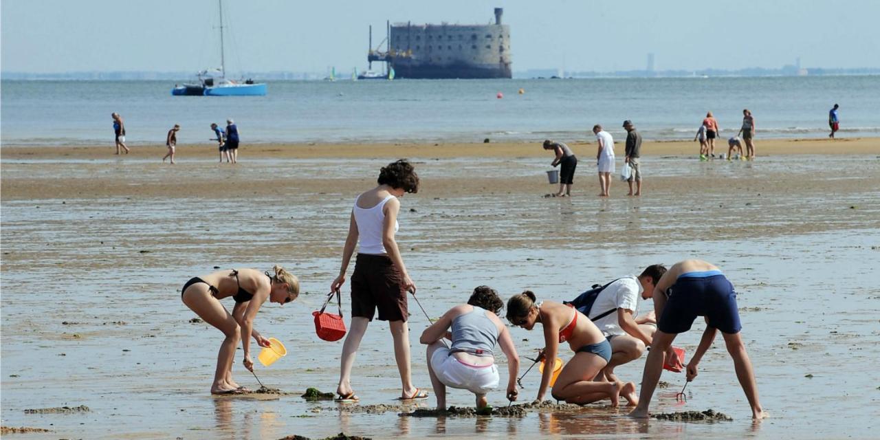 Vacance La Tremblade Kültér fotó